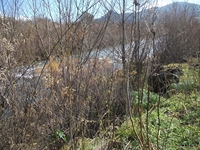 cantara piccole gole19022012 208